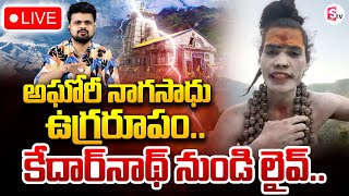 LIVE🔴అఘోరీ ఉగ్రరూపం Aghori Nagasadhu Exclusive Live Call From Kedarnath  SumanTV Tirupati [upl. by Nibroc]