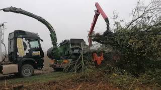 Hackgut erzeugen mit Fendt 942 [upl. by Dlared375]