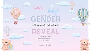 RosThan Gender Reveal [upl. by Halil40]