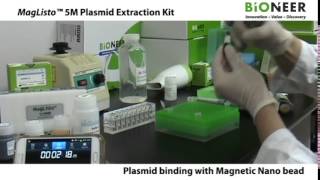 MagListo™ 5M Plasmid Extraction Kit from Bioneer [upl. by Gustavus]