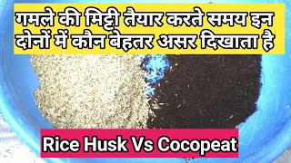 Rice Husk Vs Cocopeat कौन बेहतर है  Rice Husk For Gardening  Coco Peat Uses  Coco Peat Break [upl. by Darum]