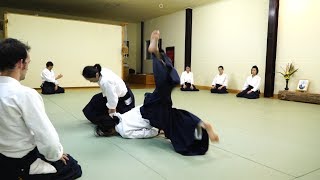 Aikido Yoko Okamoto Sensei [upl. by Aenehs218]