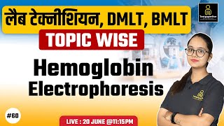 Hemoglobin Electrophoresis  Hemoglobin  Structure of Hb  Function of Hb  Synthesis of Hb [upl. by Upton]