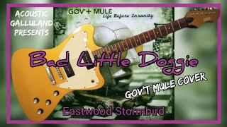 Govt Mule Bad Little Doggie Cover Eastwood Stormbird [upl. by Manville]