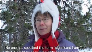 The Last Yoik in Sami Forests  a documentary video for the UN [upl. by Artkele]