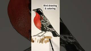 Drawing amp coloring of a bird  birddrawing [upl. by Suilienroc]