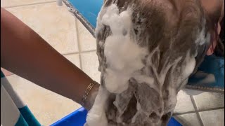 ASMR Satisfying Sudsy Shampooing  Lots of Soap  Foamy Lather  Relaxing Sounds  Hair Washing [upl. by Lem586]