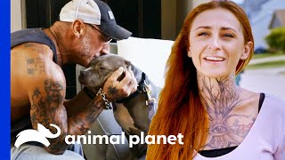 Extremely Shy Dog Finally Gets Adopted  Pit Bulls amp Parolees [upl. by Ahsratan]