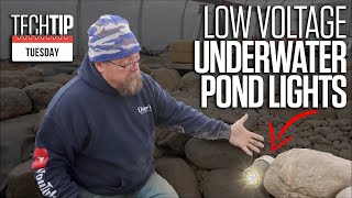 DIY Pond Lighting Illuminate Your Night with Just 1 Watt [upl. by Ekusuy364]