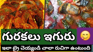 Gurakala iguru Telugu  Gorakala iguru Telugu  Gorakala iguru tayaari vidhanam  Fish Curry [upl. by Richard240]