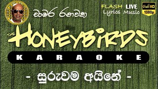 Suruwama Aine Punchi Pale Karaoke Without Voice සුරුවම අයිනේ පුංචි පැලේ කැරෝකේ [upl. by Nogras]