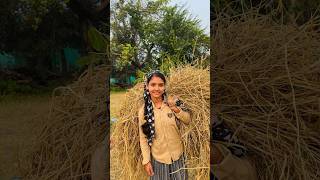 Gaon ka kaam😍🎀MissHosiyarshorts vlog minivlog 341 villagelife [upl. by Gardie]