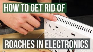 How to Get Rid of Cockroaches in Electronics 4 Easy Steps [upl. by Melody100]