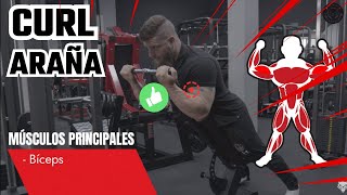 Curl BÍCEPS Araña en POLEA🟡¿Cómo se Realiza BIEN ✅ [upl. by Prud]