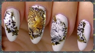 Wild Nail Art Water Decals bornprettystore Review [upl. by Winny]