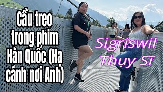 Đi cầu treo Sigriswil Thụy Sĩ hacanhnoianh sigriswil [upl. by Akived]