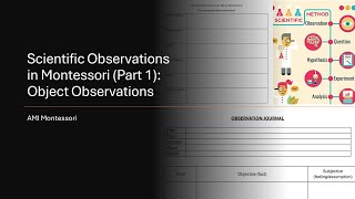 Scientific Observation Training Part 1 Object Observations  AMI montessori [upl. by Wilmar]