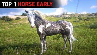 Proper Way To Get The Best amp Fastest Missouri Fox Trotter Horse Early  RDR2 [upl. by Hugibert992]