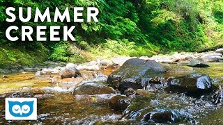 Beautiful Summer Creek  2 Hours of Relaxing Water Sounds amp Soothing White Noise [upl. by Anisirhc]