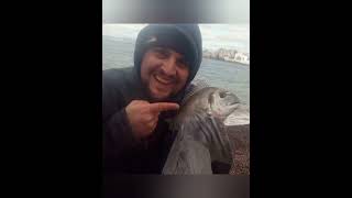 🔵 Fishing Memories Vol 1 DieM22 dorada sargos surfcasting fishing fishinglife saltwater [upl. by Issim]