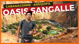 🌞💦 Oasis de Sangalle en Cabanaconde  Descubre el Corazón del Cañón del Colca 🦅 Arequipa [upl. by Sucramraj]