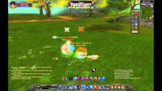 sro 110 pvp swordshield vs hybrid spear [upl. by Dalis]