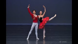 YAGP 2018 NYC FINALS  Top Winners  Pas de Deux amp Ensembles [upl. by Wildee694]