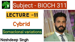 Bioch 311  Cybrid  Somaclonal variations  Somaclone biotechnology for bsc agriculture  Nashdeep [upl. by Lovato]