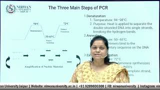 PCR and Primer Specificity Enhancing Amplification Accuracy  Dr Jyotsna Daymas Insights [upl. by Aicila]