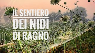 Il sentiero dei nidi di ragno  Italo Calvino [upl. by Janeen]