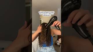 DRYING MY CURLY HAIR WITHOUT A DIFFUSER 😳 [upl. by Gwenore244]