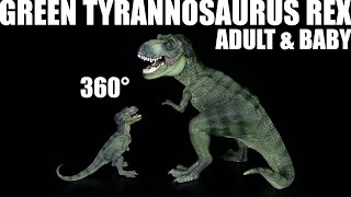 Papo ® Tyrannosaurus Rex amp Baby TRex grün  360° [upl. by Adnoel]