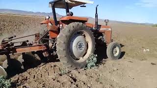 Barbechando con Tractor Massey Ferguson 285 [upl. by Rizzi]