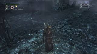 Bloodborne™ This dungeon has the best ECHO farming loop 1 million echos per minute [upl. by Junji]