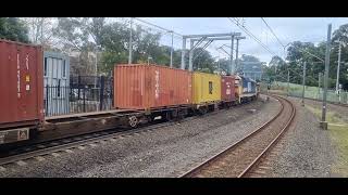 NR11 8143 Leave Beecroft Station in November 2023 [upl. by Ethbinium]