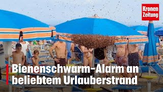 BienenschwarmAlarm an beliebtem Urlauberstrand  NEWS kronetv [upl. by Klemperer]