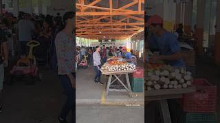 HORTIFRUTI 🍍 FEIRA DA BARGANHA SOROCABA SP ❤️ turismo cidadeturistica shrots [upl. by Erdei441]