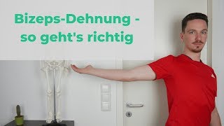 Richtig Dehnen 9  so dehnst du deinen Bizeps richtig [upl. by Prunella]