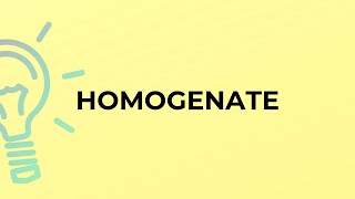 What is the meaning of the word HOMOGENATE [upl. by Navillus]