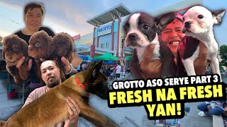 DAGSA NA NAMAN MGA PETS SA GROTTO  GROTTO PET MARKET UPDATE  NOVEMBER 17 2024 [upl. by Idnir]