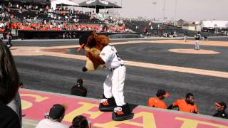 7th inning stretch  april 12 2015 Frederick Keys [upl. by Simons]