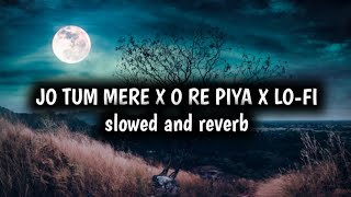 Jo tum mere x re Piya x lofi song slowed and reverb [upl. by Behnken]