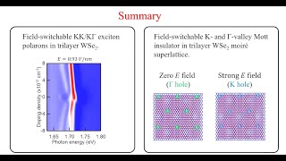 Tunable Gamma and Kvalley exciton polarons and correlated states in trilayer WSe2 [upl. by Richardo320]