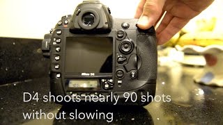 Nikon D4 vs D800E buffer lock up demo  KaleelZibecom [upl. by Lyrehc]