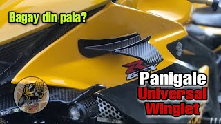 Panigale Universal Winglet for my Suzuki GSX R150 [upl. by Laud]