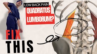 Quadratus Lumborum QL  Stretch Strengthening and Massage [upl. by Hillhouse270]