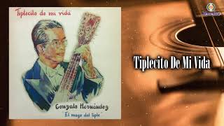 Tiplecito De Mi Vida – Gonzalo Hernández  Remasterizado  Instrumental [upl. by Neerhtak]