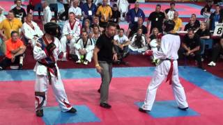 2013 Taekwondo World Championships Vice vs Nowak [upl. by Lexerd]