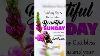 Sunday Blessings Daily Devotional prayers [upl. by Guntar]