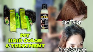 Honey Tea Brown amp Dust Hair Color  Bremod  Treatment No bleach [upl. by Tish949]